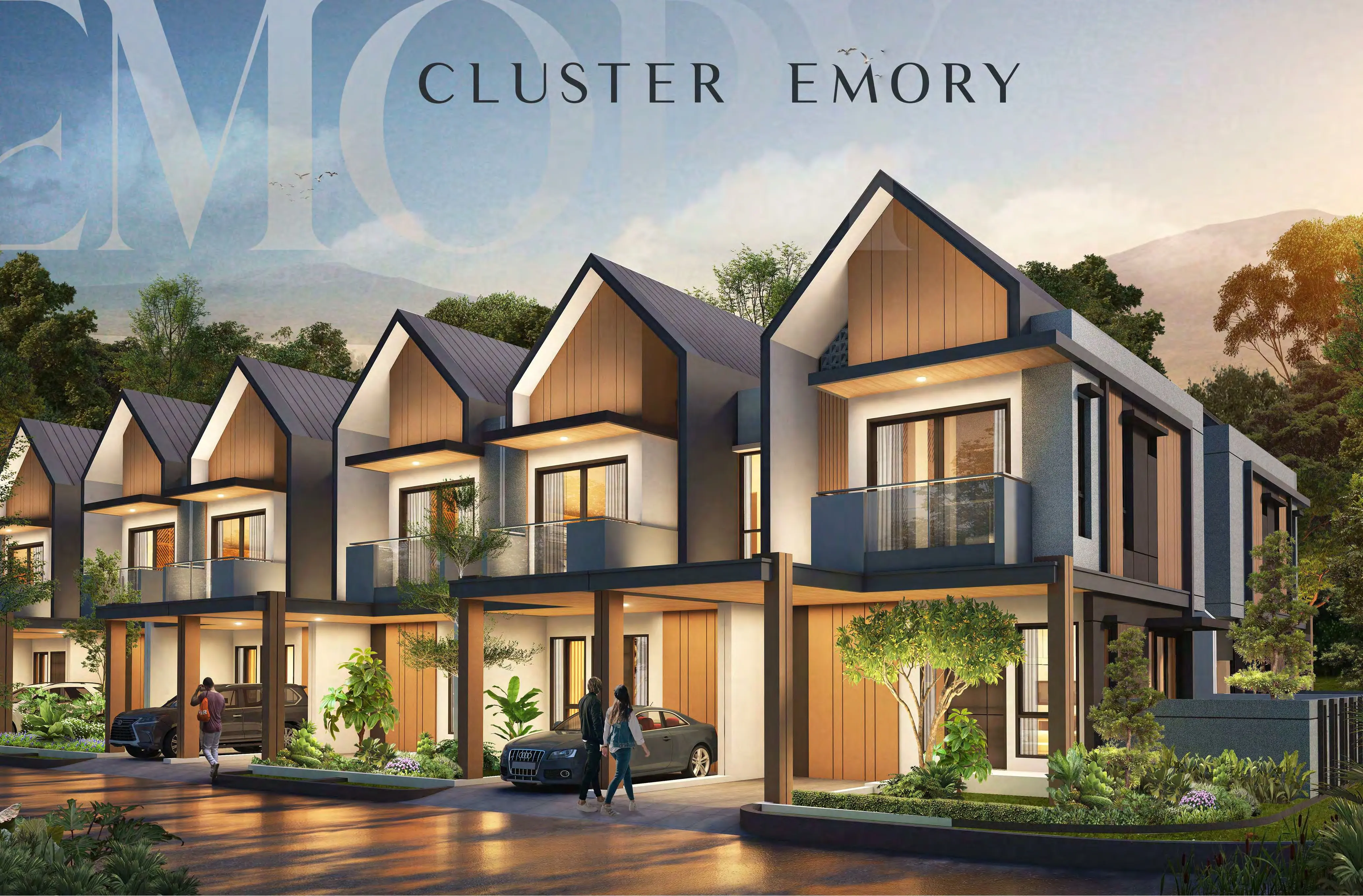 Cluster Emory